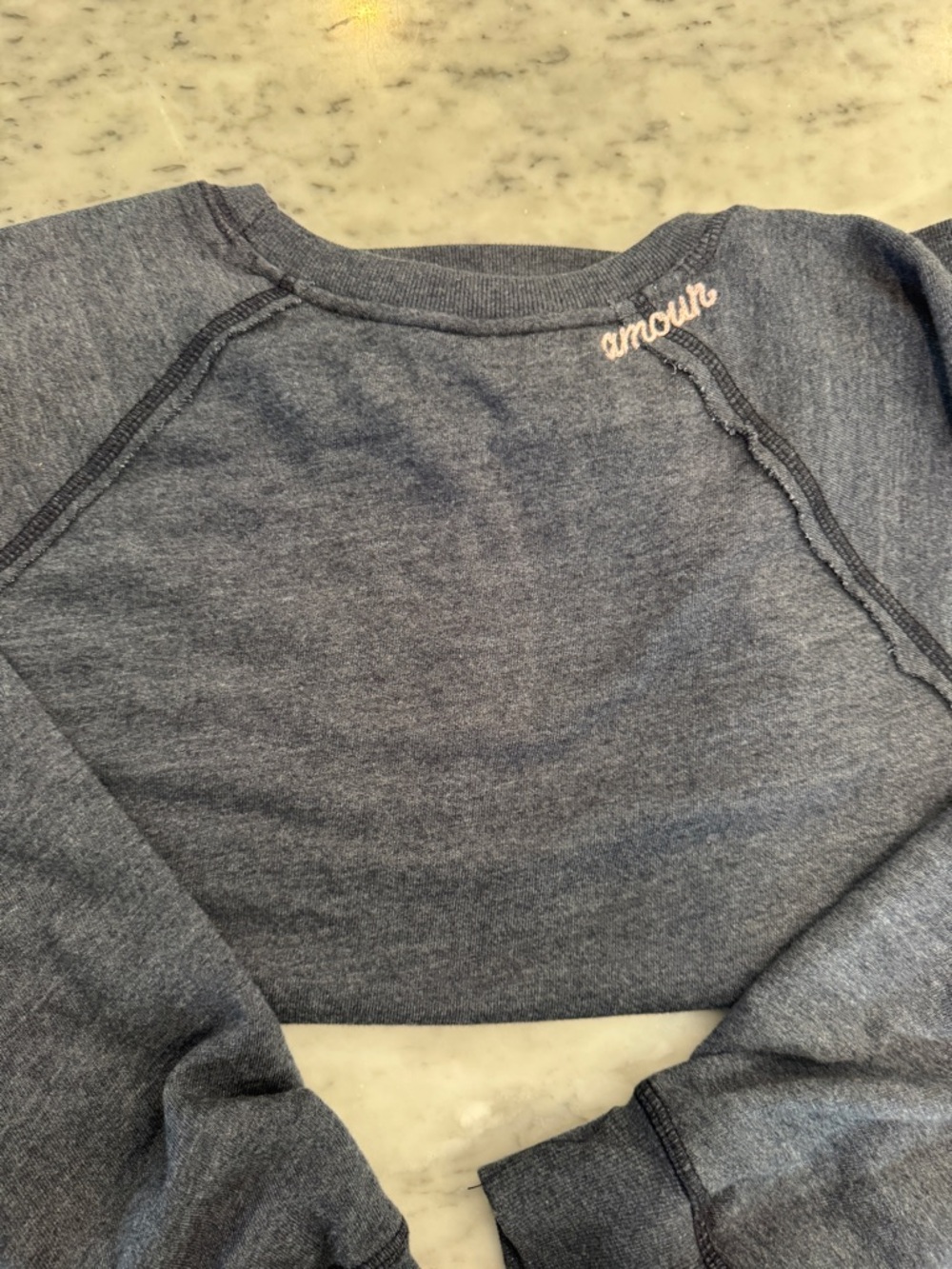 Sundry Amour Embroidered Grey Sweatshirt Anthropology